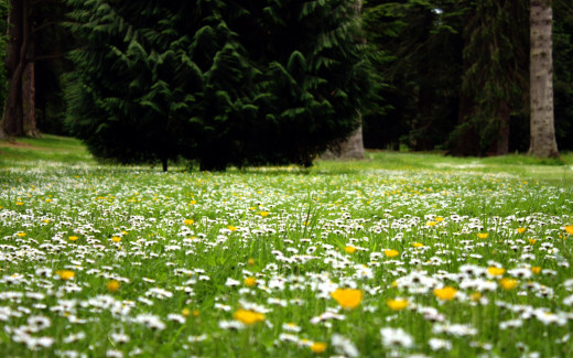 1257986 (a): :2560x1600